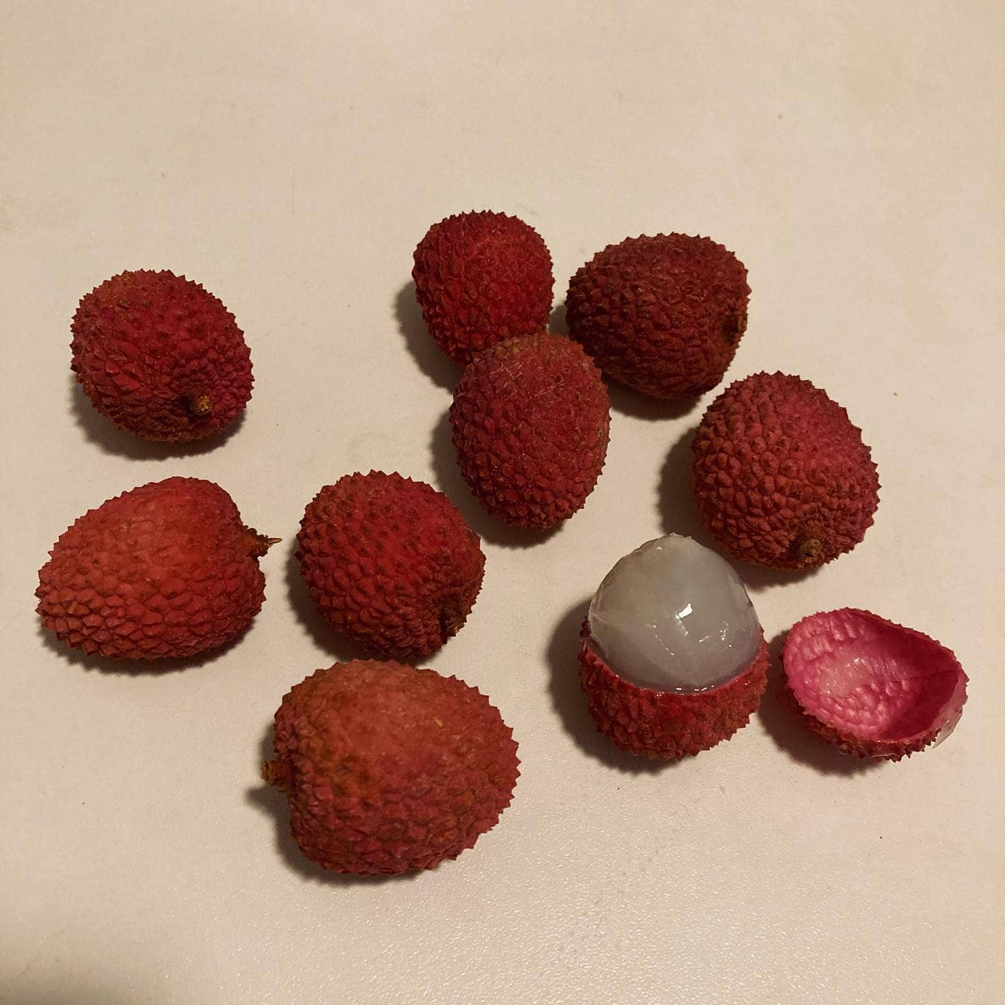 Litchi chinensis on sale